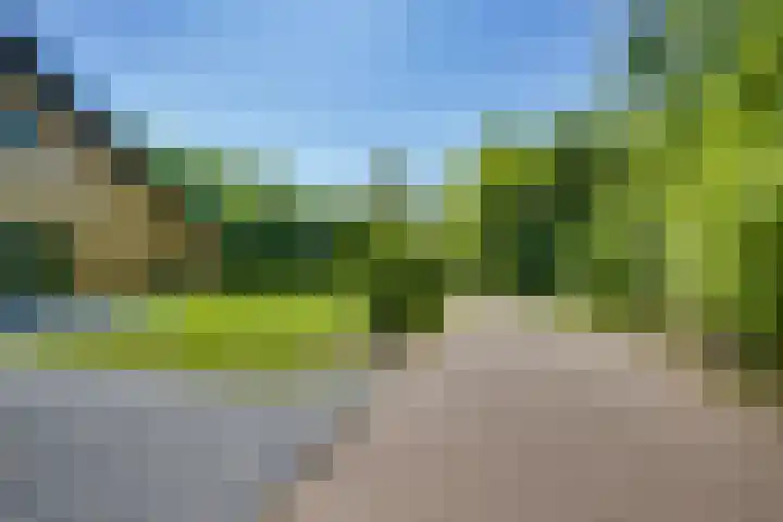 't Schoman 66 Diepenheim thumbnail 35