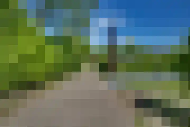 't Schoman 66 Diepenheim thumbnail 36