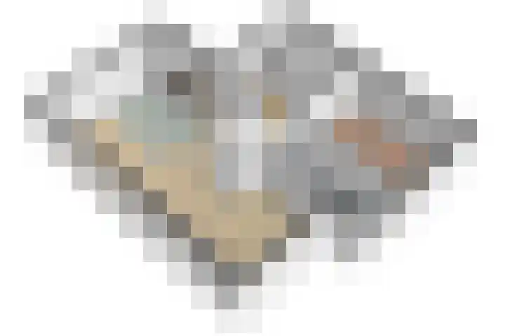 't Schoman 66 Diepenheim thumbnail 38