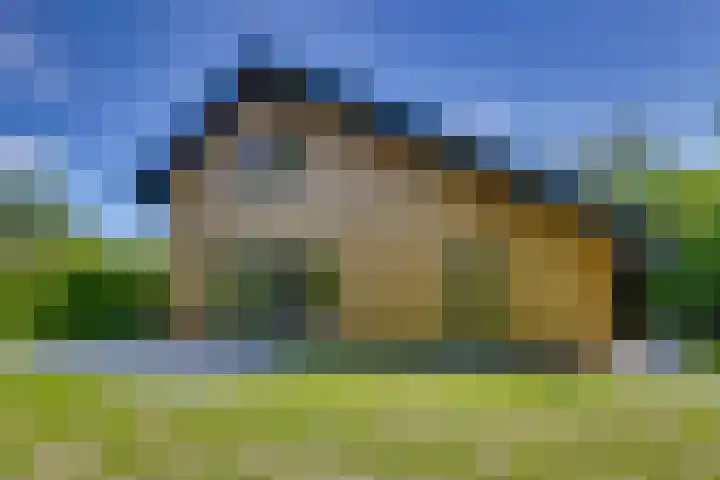 't Schoman 66 Diepenheim thumbnail 5
