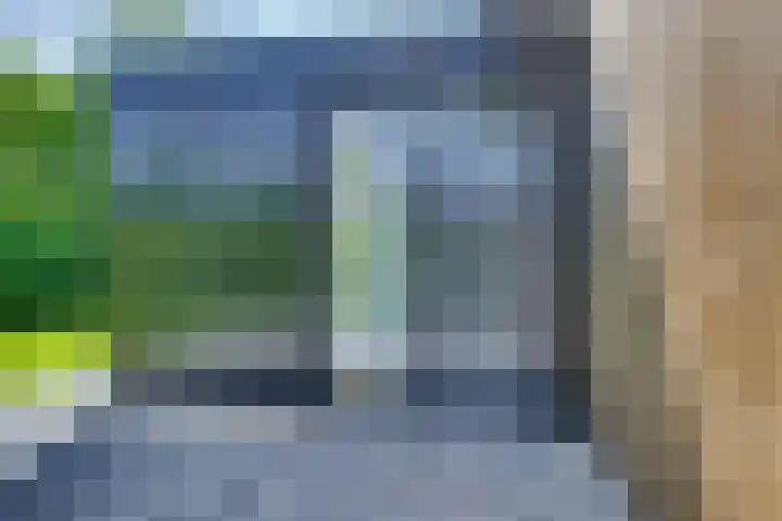 't Schoman 66 Diepenheim thumbnail 6