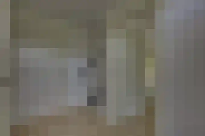 't Schoman 66 Diepenheim thumbnail 7