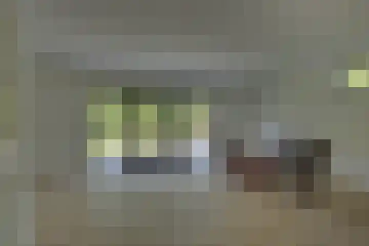 't Schoman 66 Diepenheim thumbnail 8