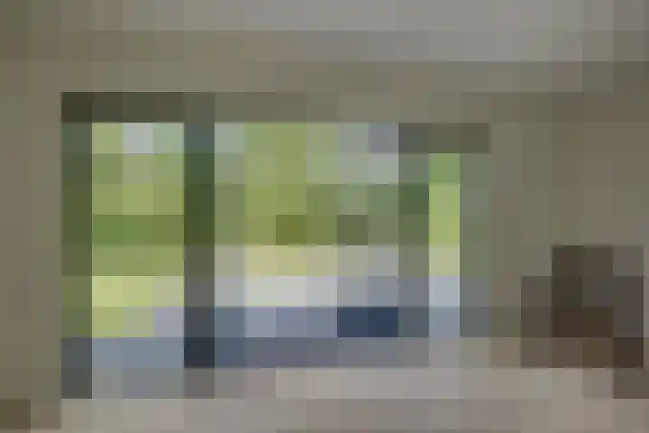't Schoman 66 Diepenheim thumbnail 9