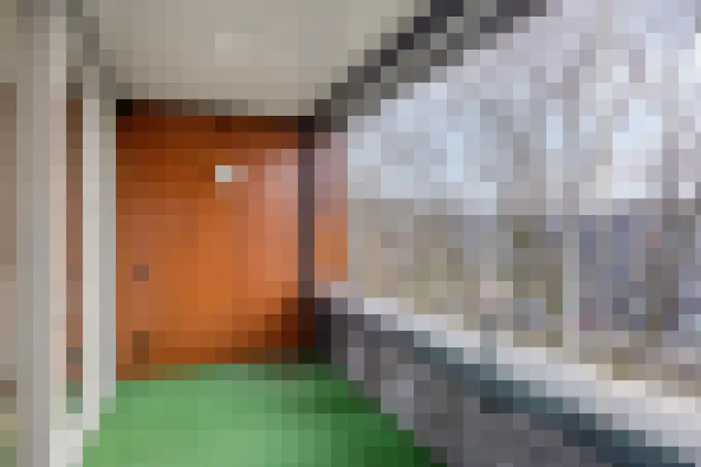 't Schoor 23 Oisterwijk thumbnail 17