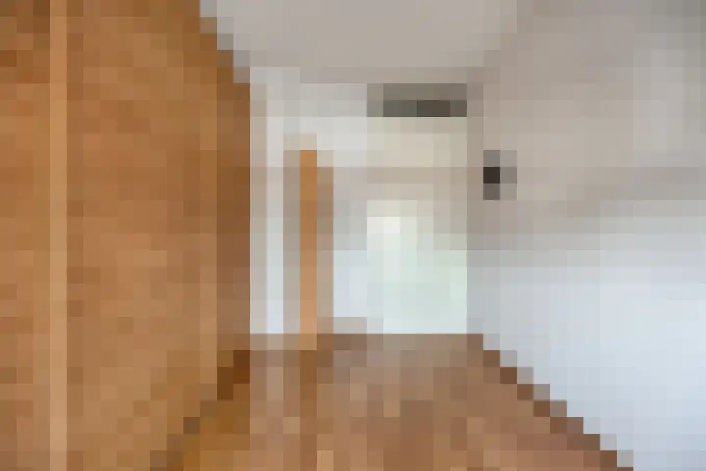 't Schoor 23 Oisterwijk thumbnail 25