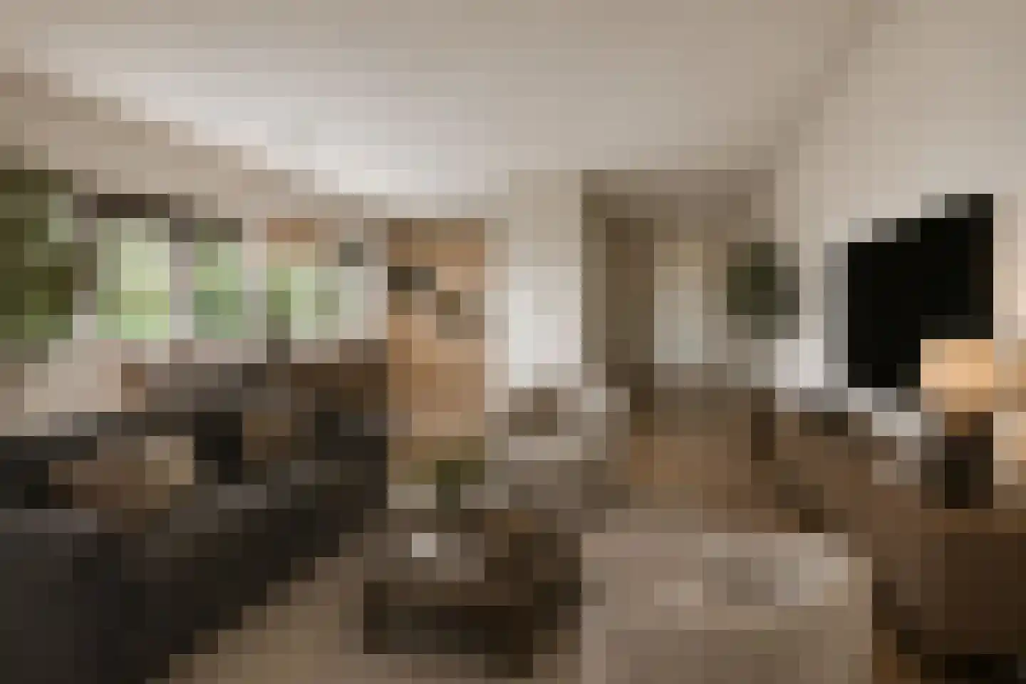 't Schoor 47 Oisterwijk thumbnail 17