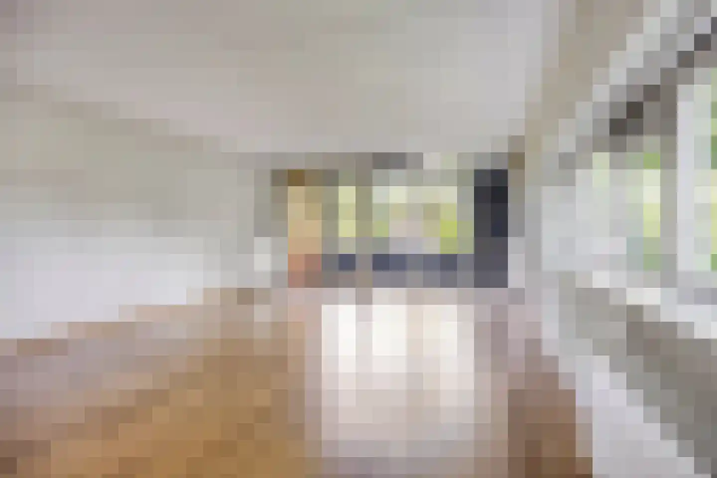 't Schoor 47 Oisterwijk thumbnail 18