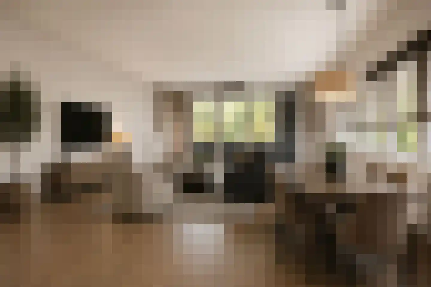 't Schoor 47 Oisterwijk thumbnail 19