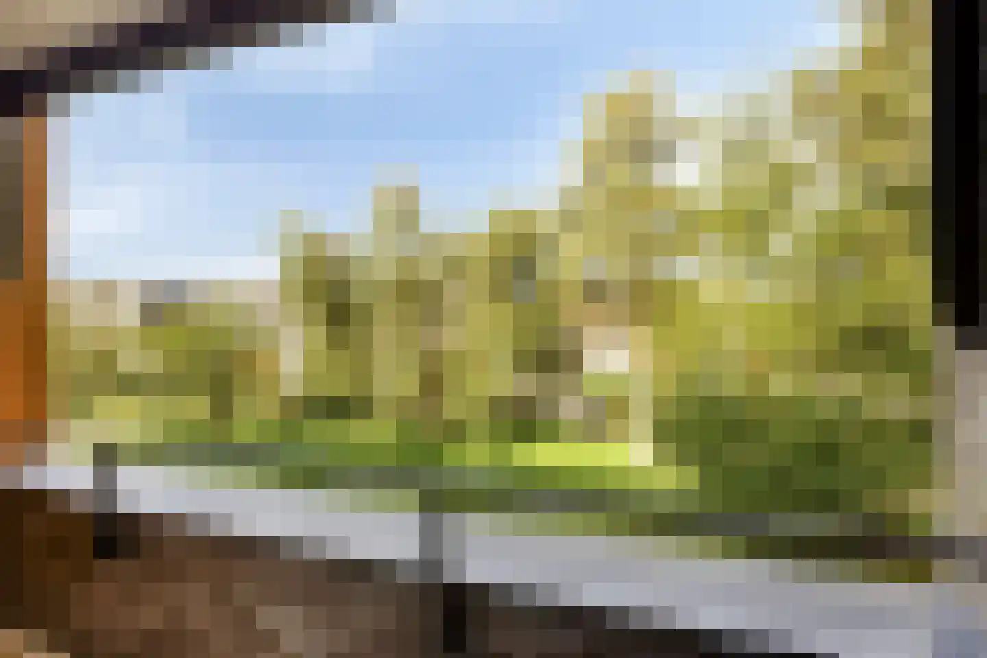 't Schoor 47 Oisterwijk thumbnail 27