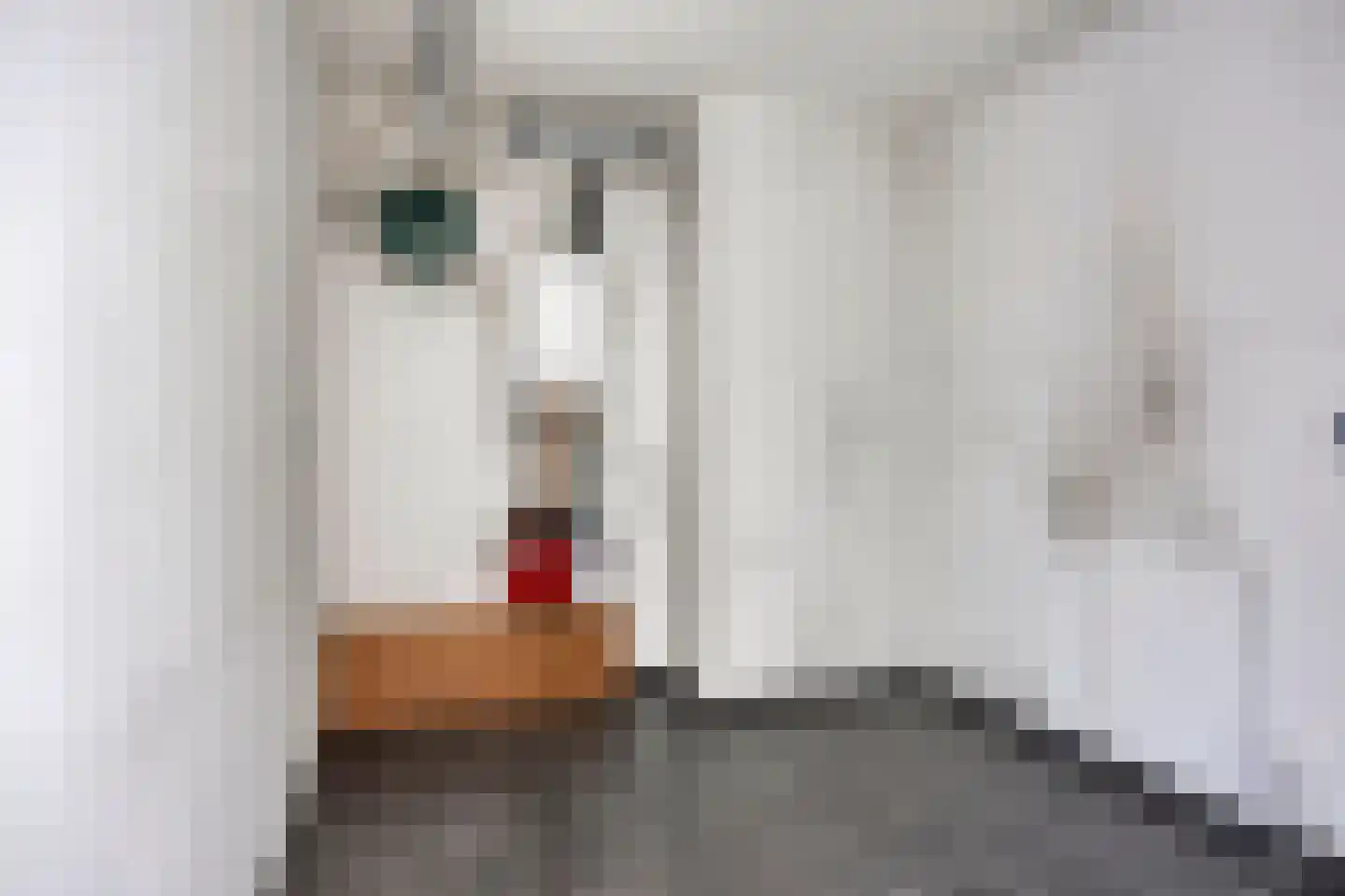 't Schoor 47 Oisterwijk thumbnail 38