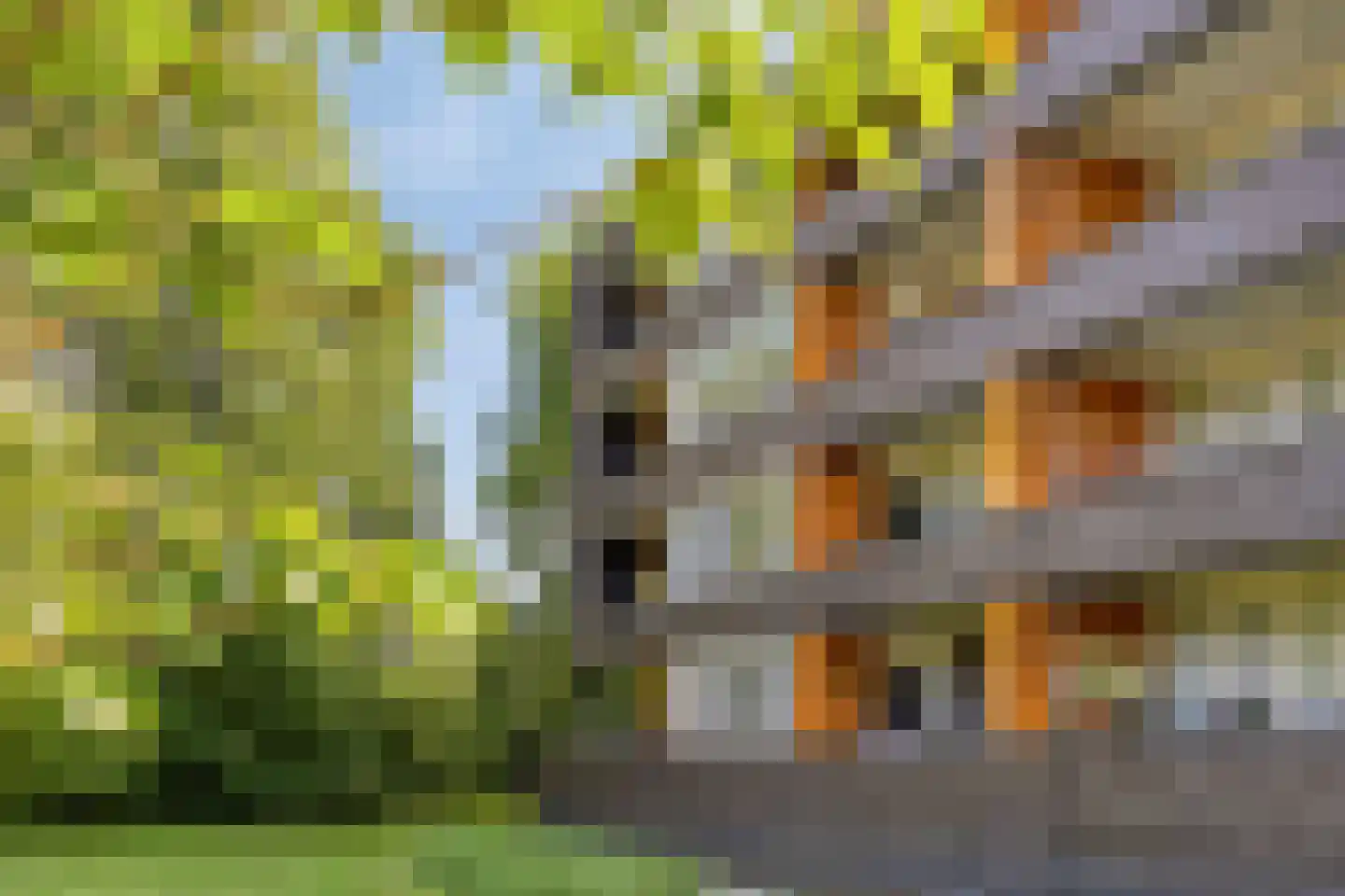 't Schoor 47 Oisterwijk thumbnail 4