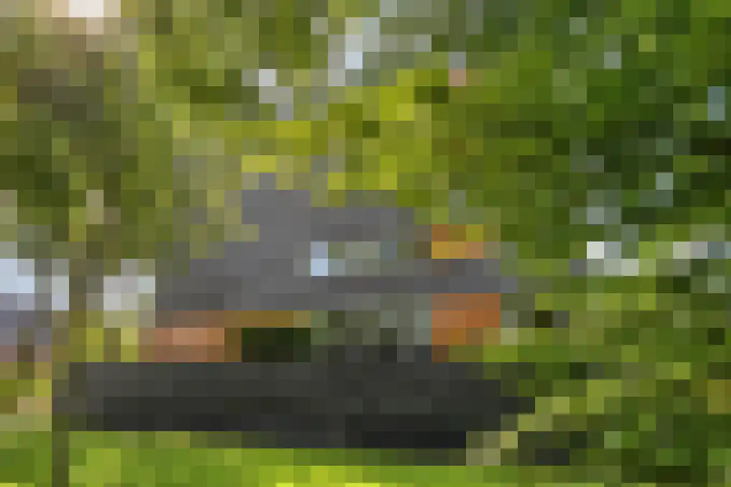 't Schoor 47 Oisterwijk thumbnail 44