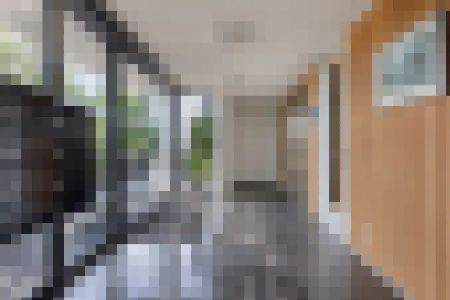 't Schoor 47 Oisterwijk thumbnail 8