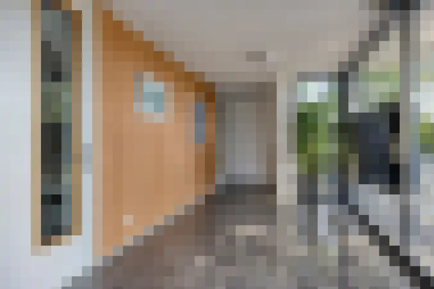 't Schoor 47 Oisterwijk thumbnail 9