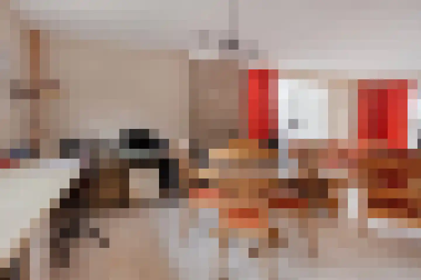 't Schuttebocht 14 Oostburg thumbnail 10