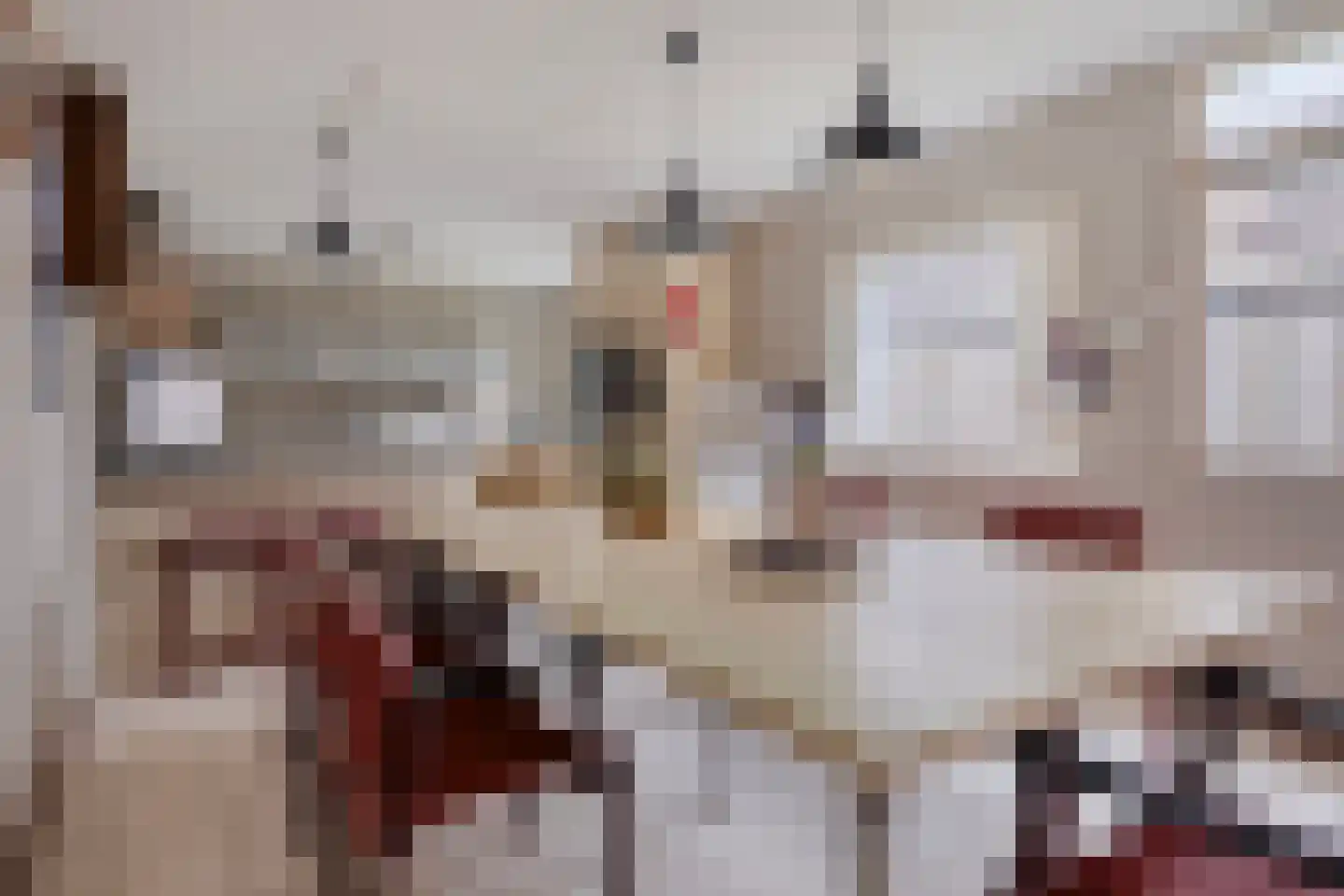 't Schuttebocht 14 Oostburg thumbnail 11
