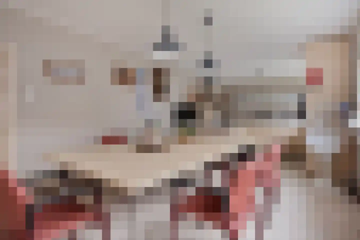 't Schuttebocht 14 Oostburg thumbnail 12