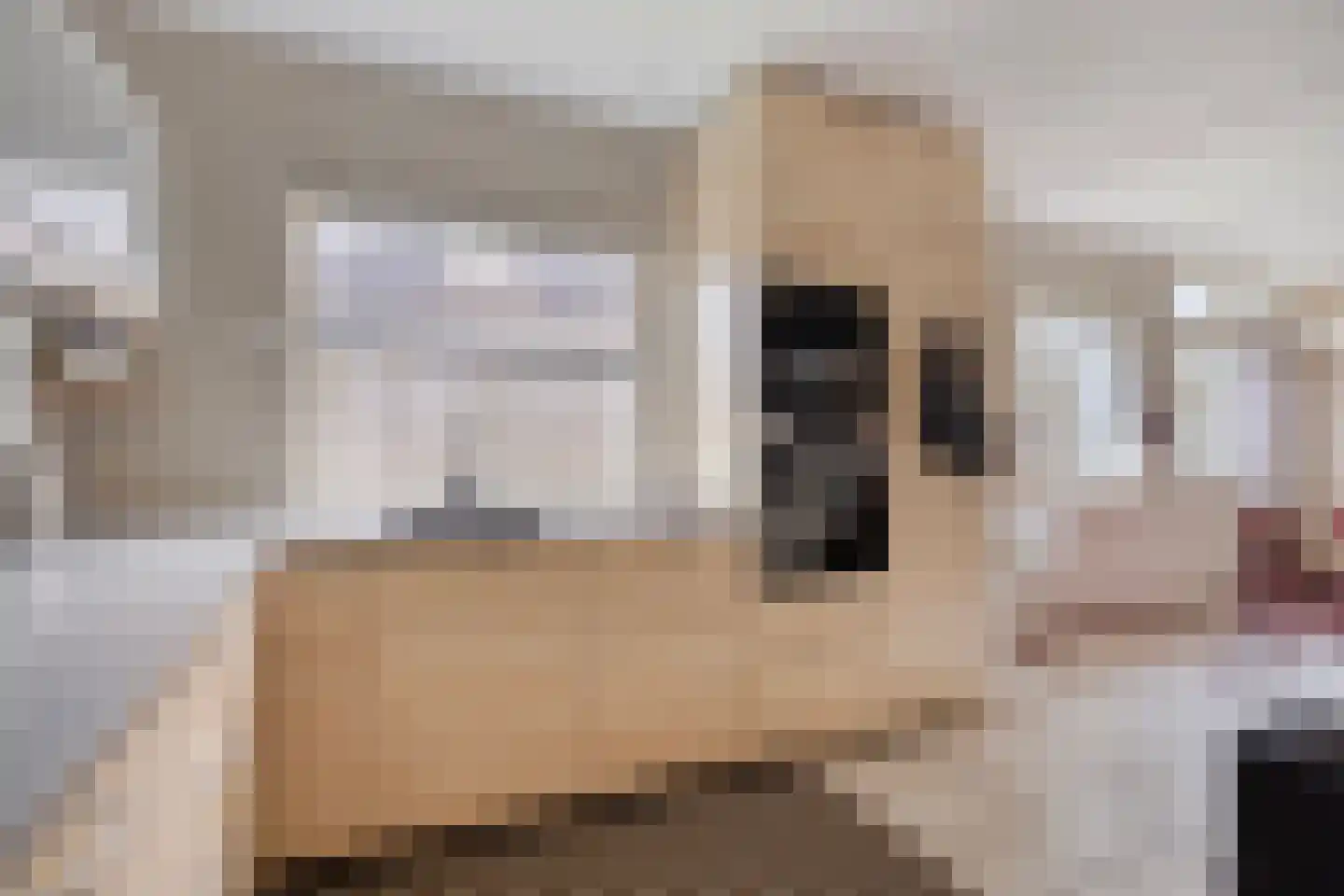 't Schuttebocht 14 Oostburg thumbnail 15
