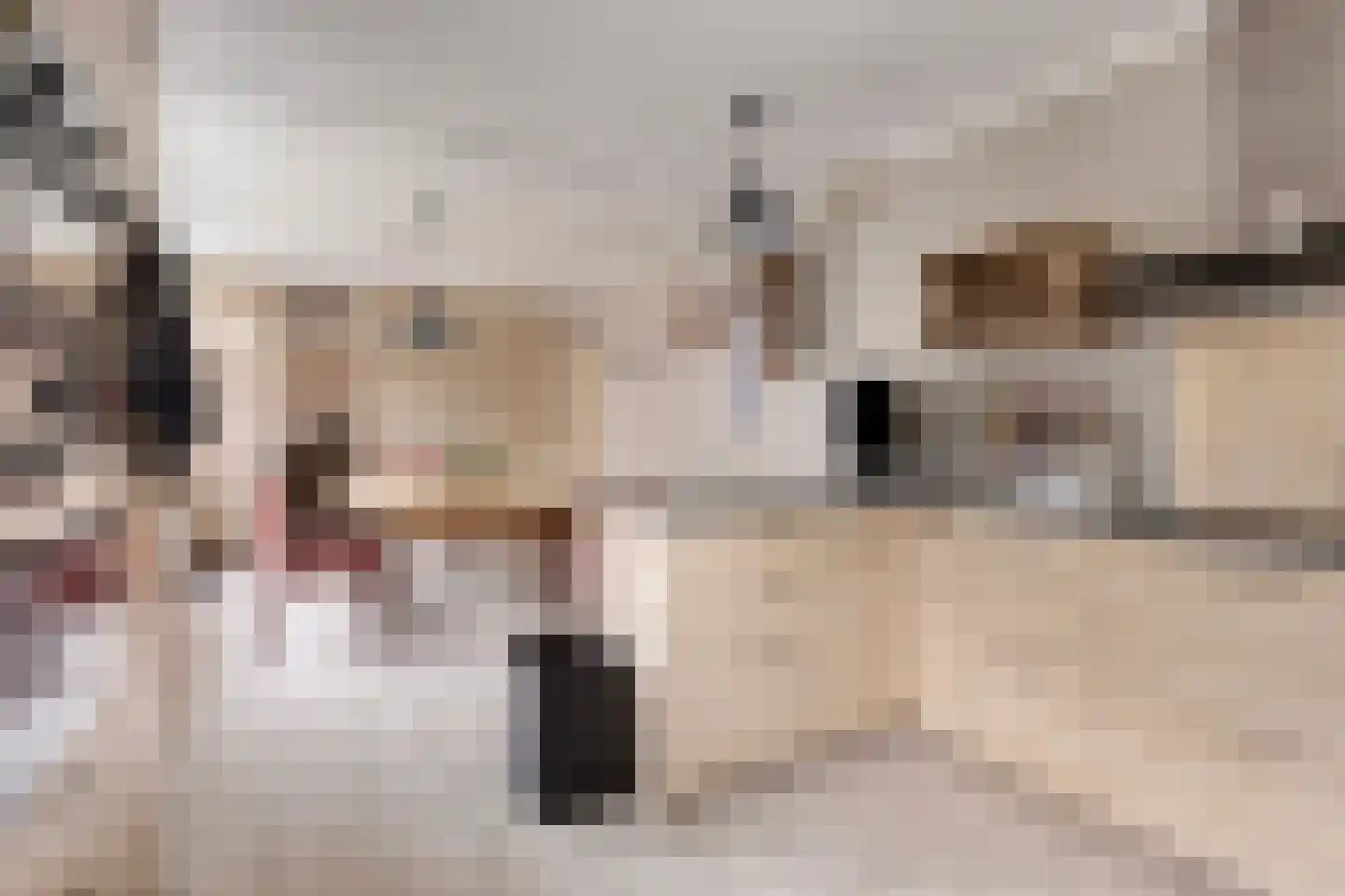 't Schuttebocht 14 Oostburg thumbnail 16