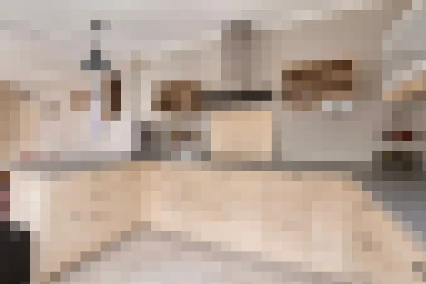 't Schuttebocht 14 Oostburg thumbnail 17