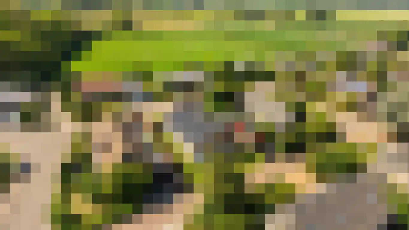 't Schuttebocht 14 Oostburg thumbnail 36