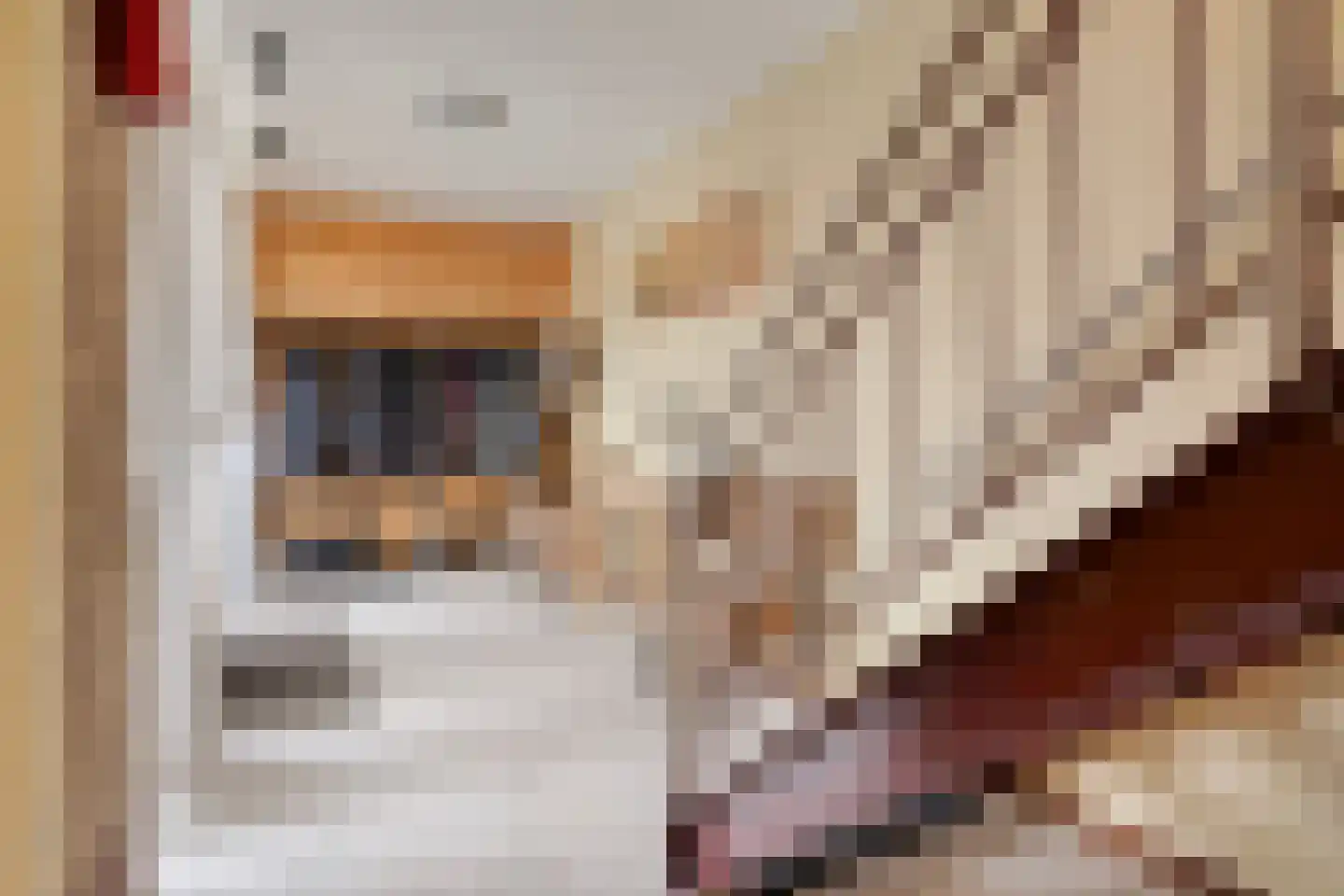 't Schuttebocht 14 Oostburg thumbnail 4