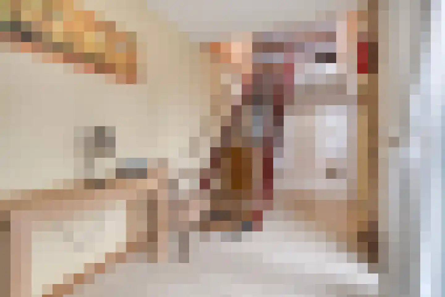 't Schuttebocht 14 Oostburg thumbnail 5