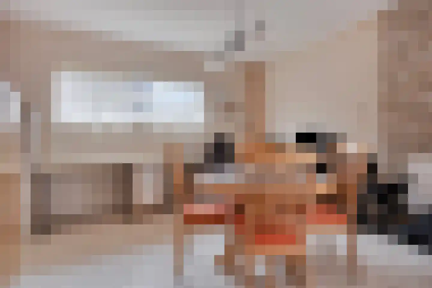 't Schuttebocht 14 Oostburg thumbnail 9