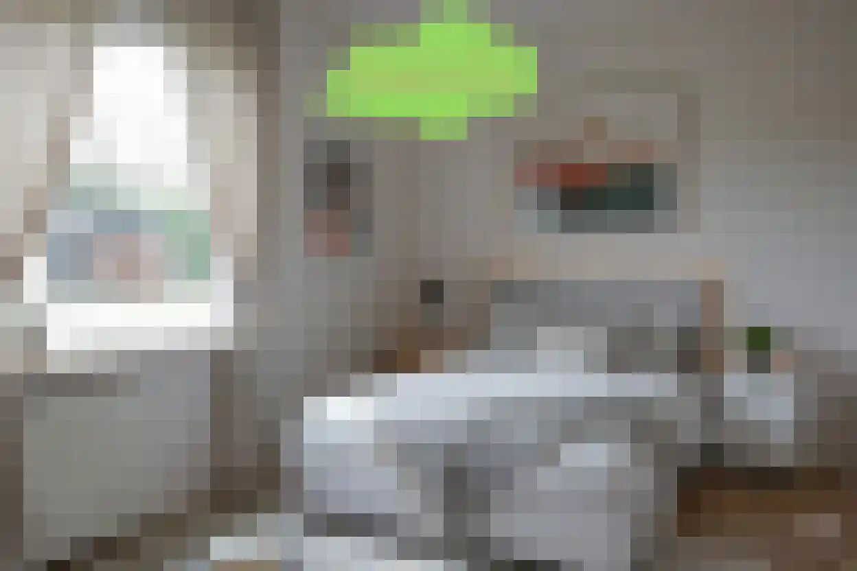 't Schuttebocht 23 Oostburg thumbnail 13