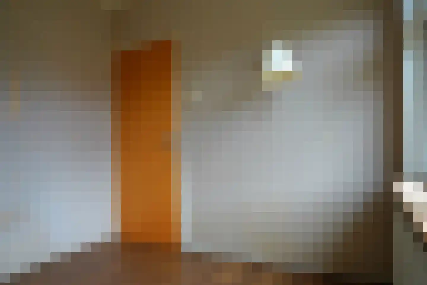 't Schuttebocht 23 Oostburg thumbnail 15