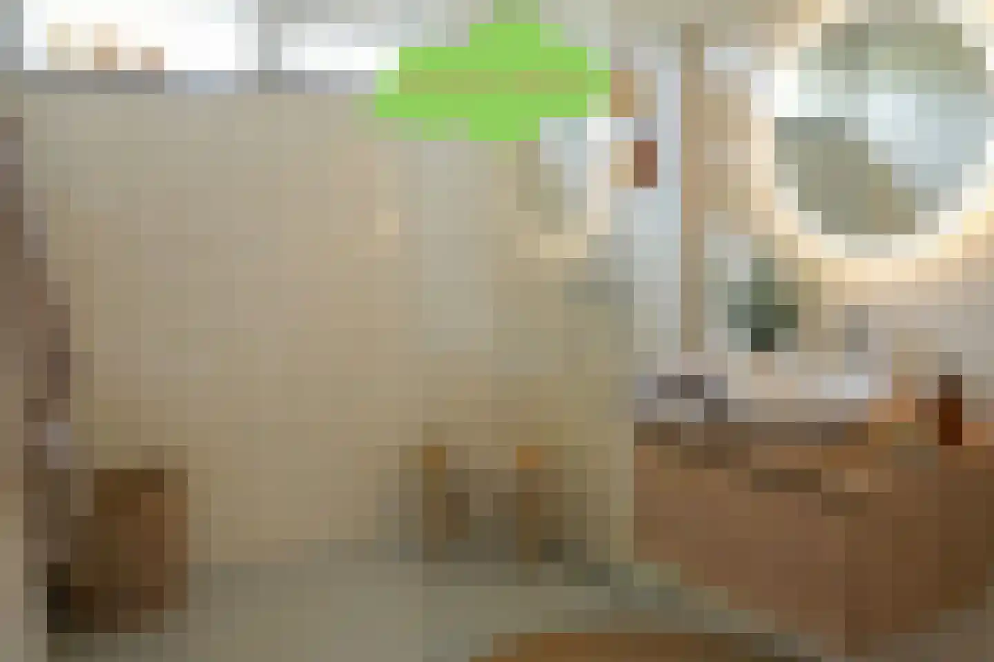 't Schuttebocht 23 Oostburg thumbnail 21