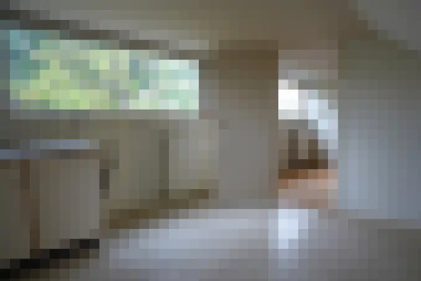 't Schuttebocht 23 Oostburg thumbnail 30
