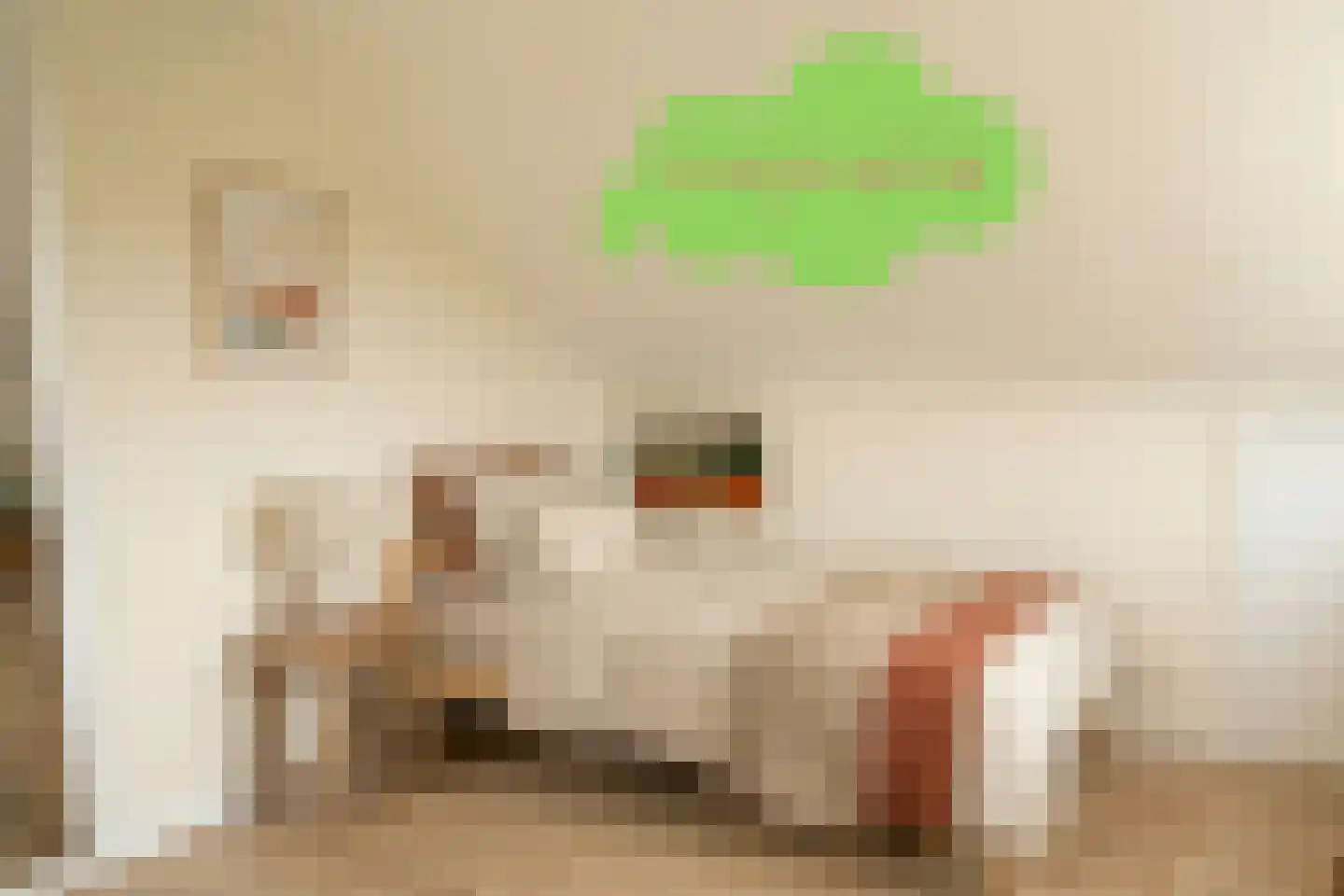 't Schuttebocht 23 Oostburg thumbnail 31