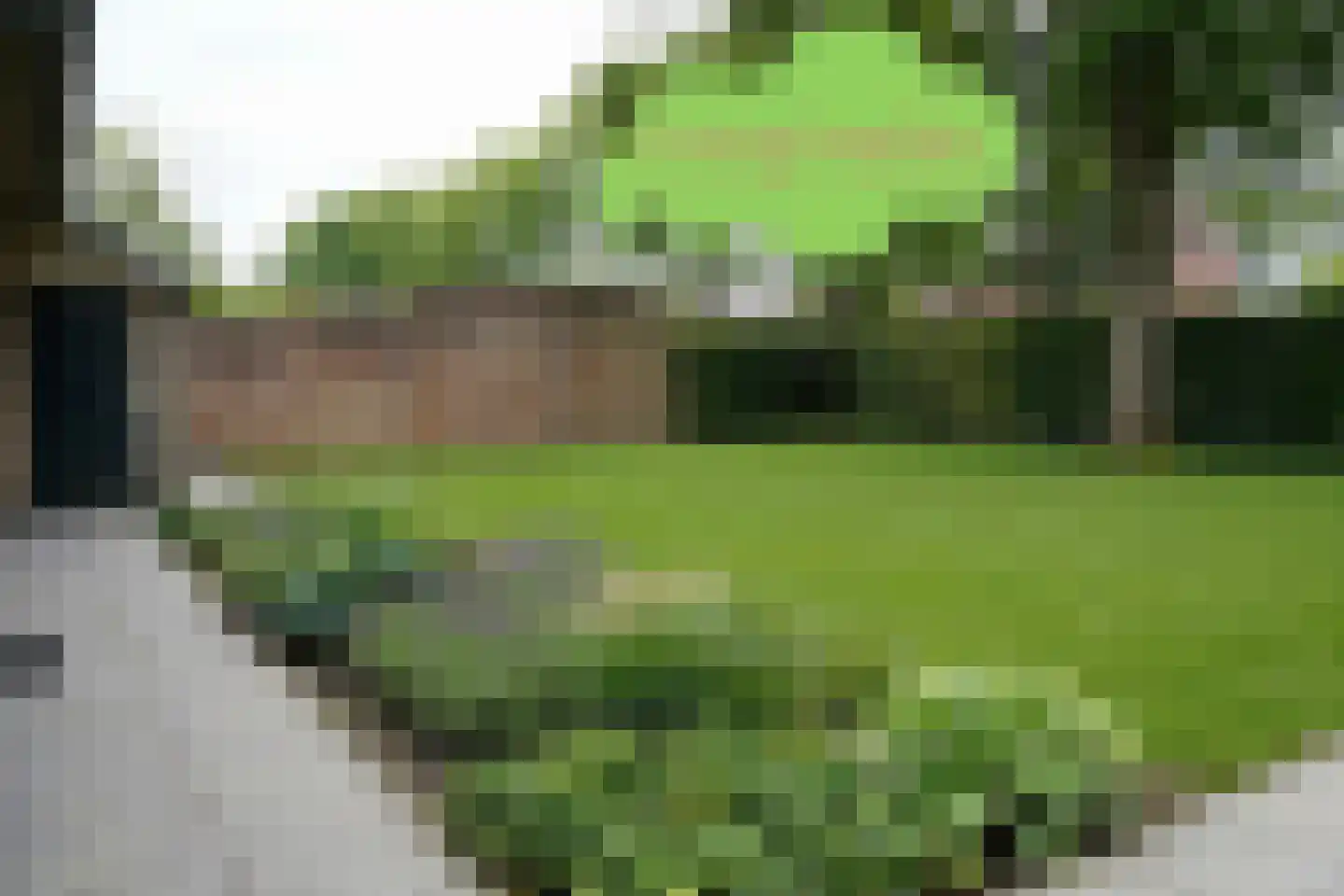 't Schuttebocht 23 Oostburg thumbnail 42