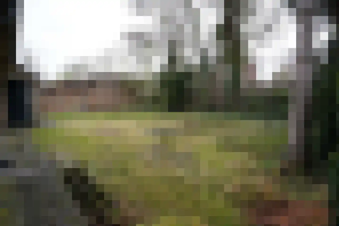't Schuttebocht 23 Oostburg thumbnail 43