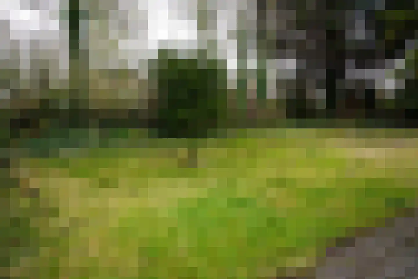 't Schuttebocht 23 Oostburg thumbnail 44