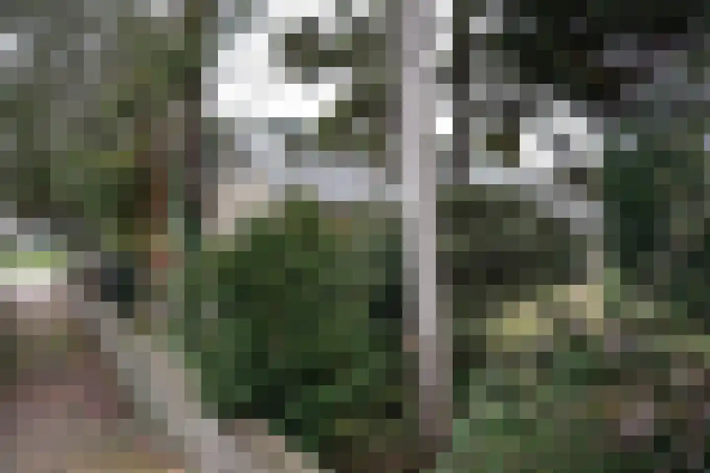 't Schuttebocht 23 Oostburg thumbnail 47