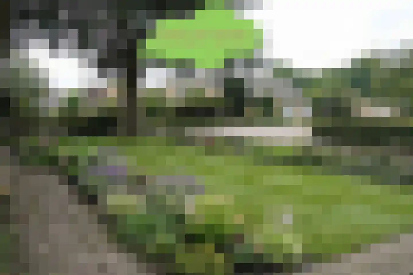 't Schuttebocht 23 Oostburg thumbnail 48