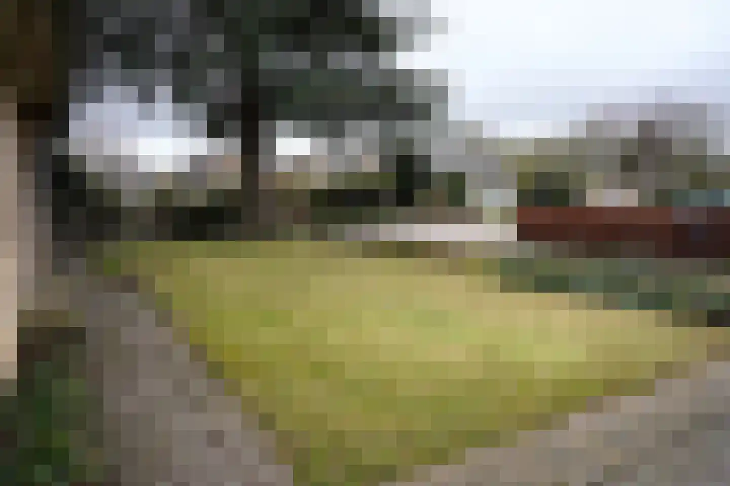 't Schuttebocht 23 Oostburg thumbnail 49