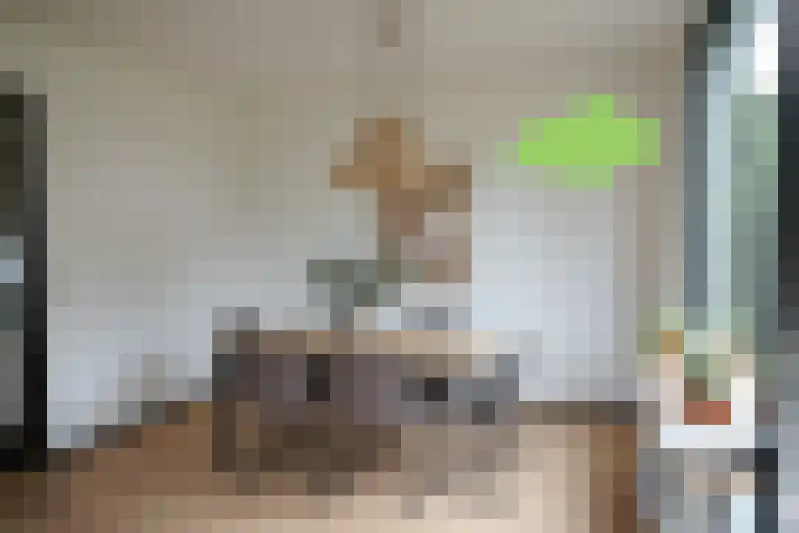 't Schuttebocht 23 Oostburg thumbnail 5