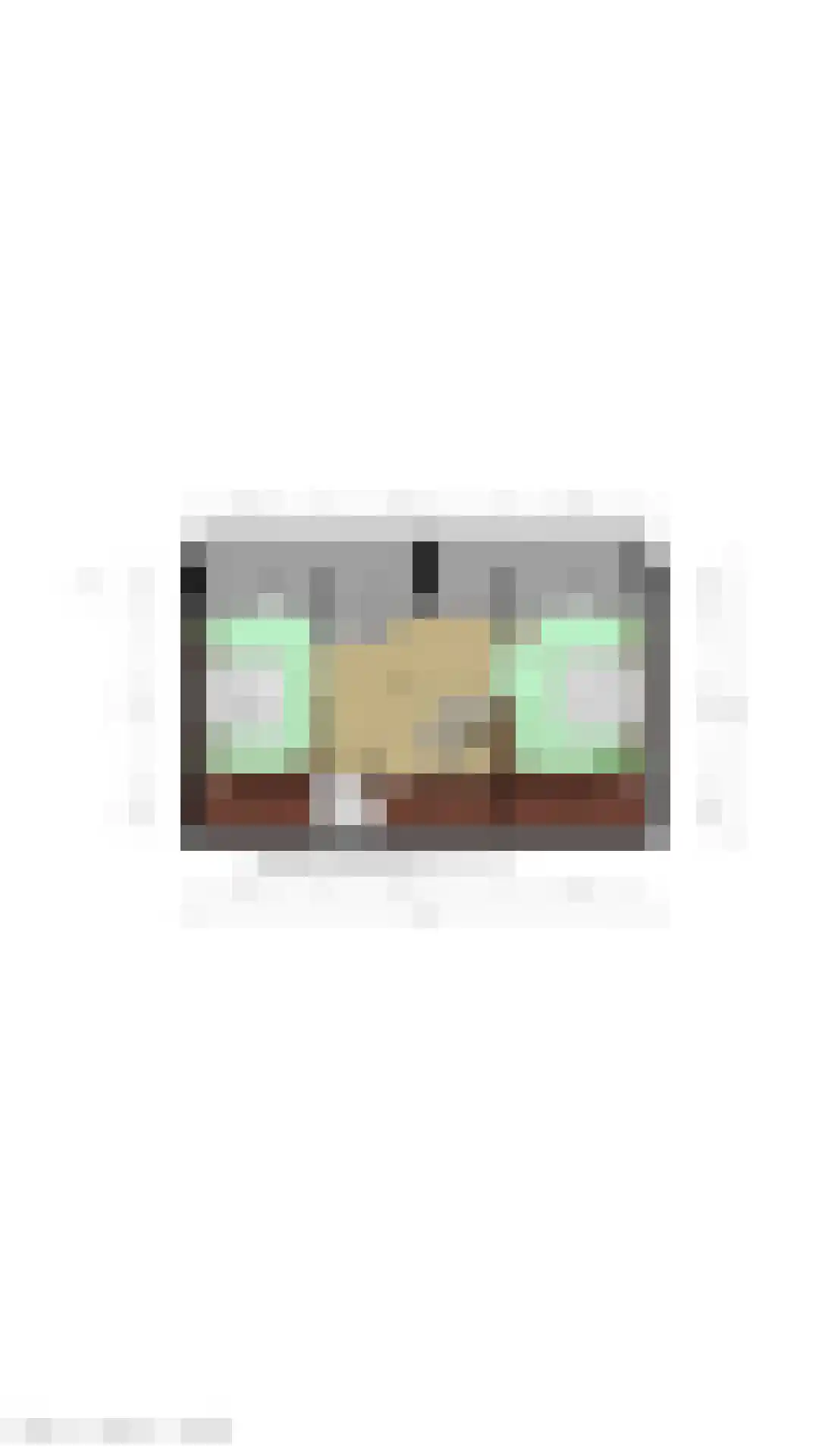 't Schuttebocht 23 Oostburg thumbnail 55