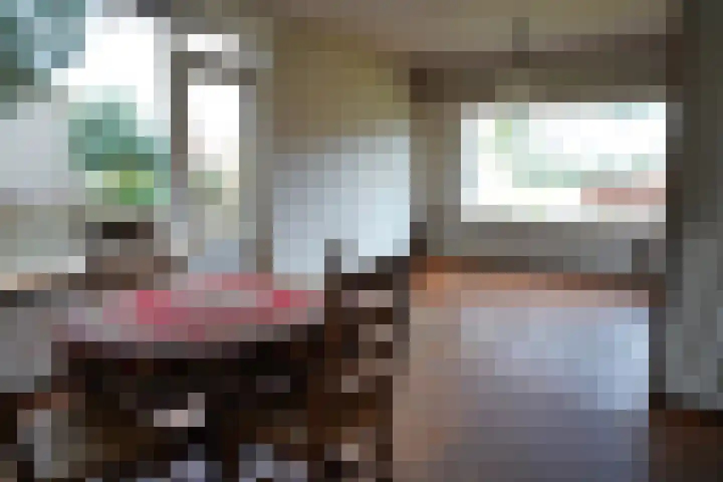 't Schuttebocht 23 Oostburg thumbnail 8