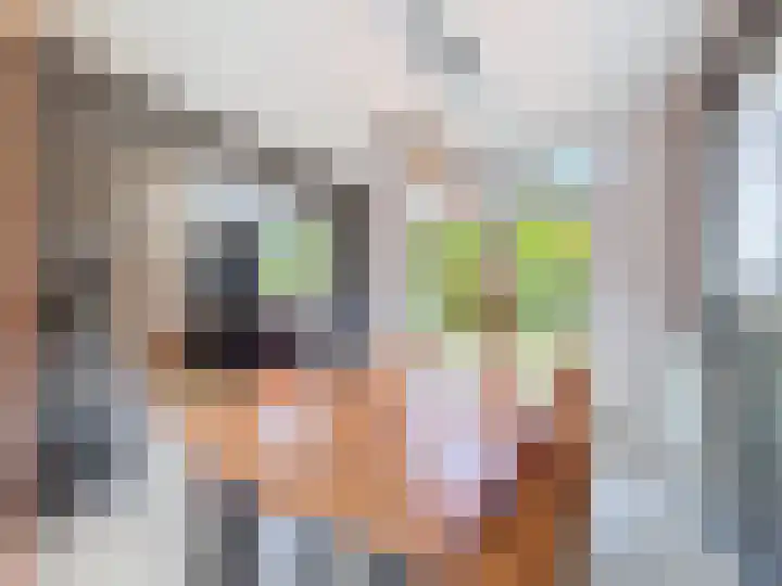 't Schuttebocht 25 Oostburg thumbnail 13