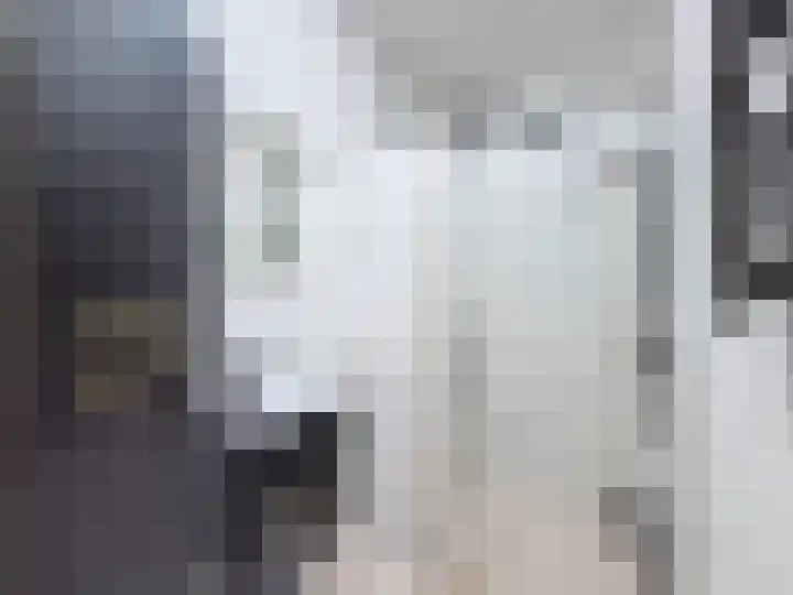 't Schuttebocht 25 Oostburg thumbnail 23