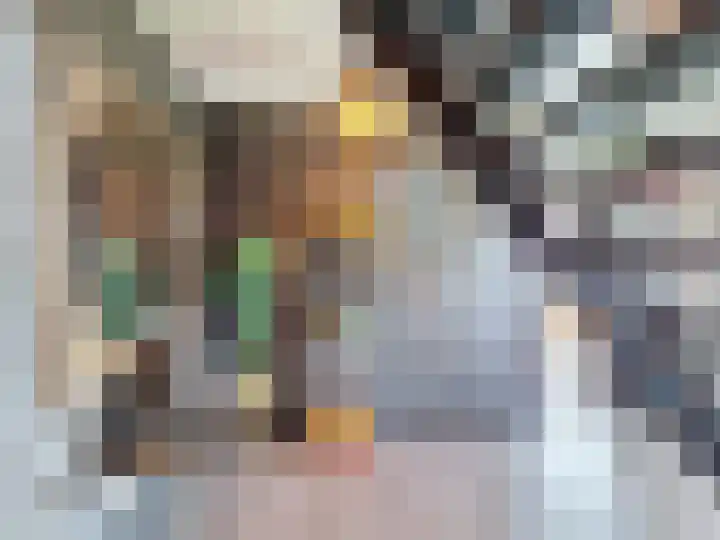't Schuttebocht 25 Oostburg thumbnail 24