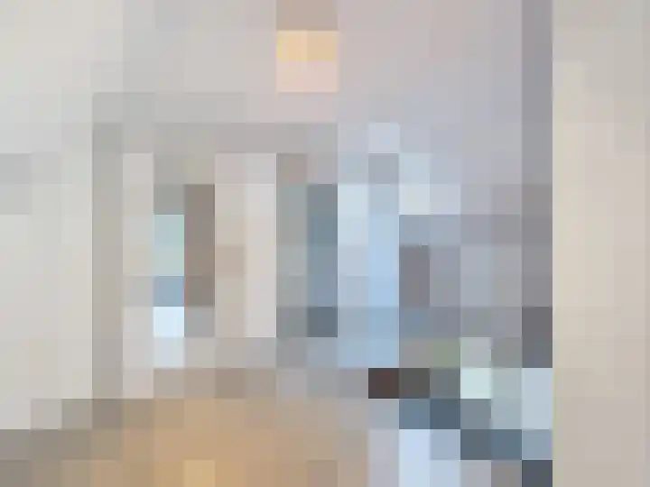 't Schuttebocht 25 Oostburg thumbnail 26