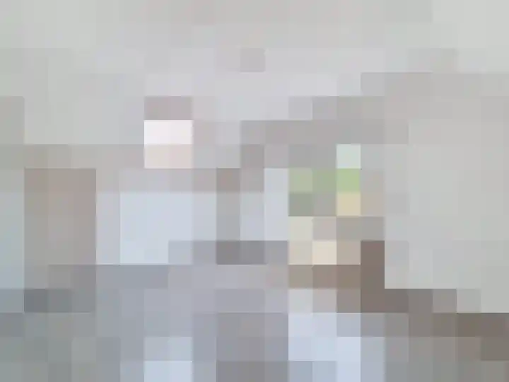 't Schuttebocht 25 Oostburg thumbnail 27