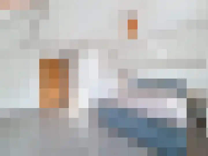 't Schuttebocht 25 Oostburg thumbnail 29