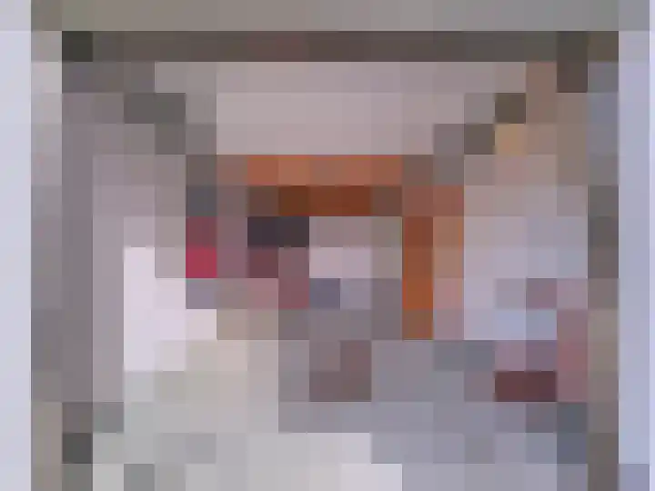 't Schuttebocht 25 Oostburg thumbnail 32